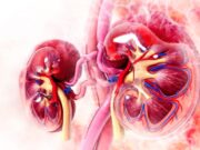 Urographie intraveineuse