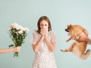 L’essentiel à savoir sur les allergies