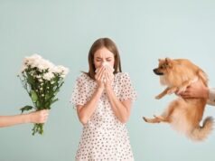 L’essentiel à savoir sur les allergies