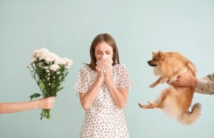 L’essentiel à savoir sur les allergies