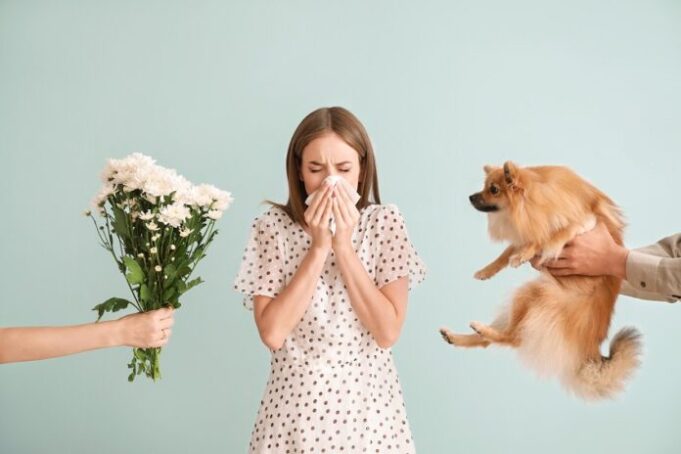L’essentiel à savoir sur les allergies