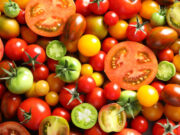 La tomate : un super légume-fruit ?