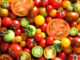 La tomate : un super légume-fruit ?