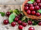 5 raisons de craquer pour une poignée de cerises