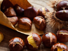 Marrons et châtaignes : ne pas les confondre !