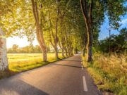 Sieste : efficacité prouvée lors d’un long trajet en voiture