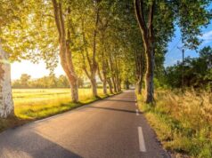 Sieste : efficacité prouvée lors d’un long trajet en voiture