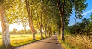 Sieste : efficacité prouvée lors d’un long trajet en voiture