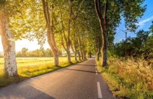 Sieste : efficacité prouvée lors d’un long trajet en voiture