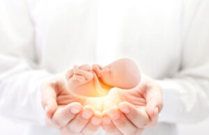 Des utérus artificiels développés en Chine