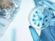 Mort suspecte d’un enfant liée à la bactérie E.coli