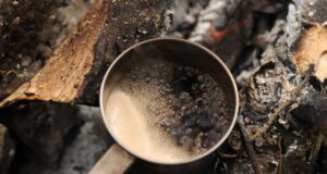 Nutrition : le café aux champignons pour booster l’immunité
