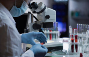 C’est quoi la variole du singe qui a infecté quarante personnes en Europe ?