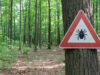 Maladie de Lyme : 14 % de la population est concernée
