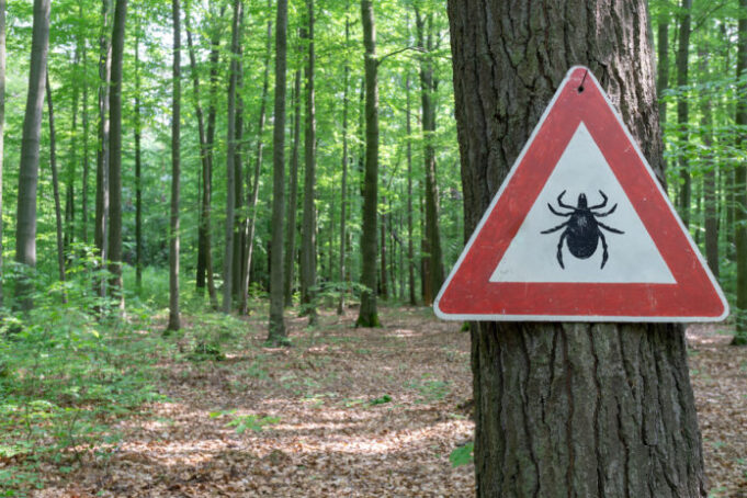 Maladie de Lyme : 14 % de la population est concernée