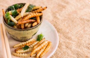 Quelle sera la nourriture de demain ?