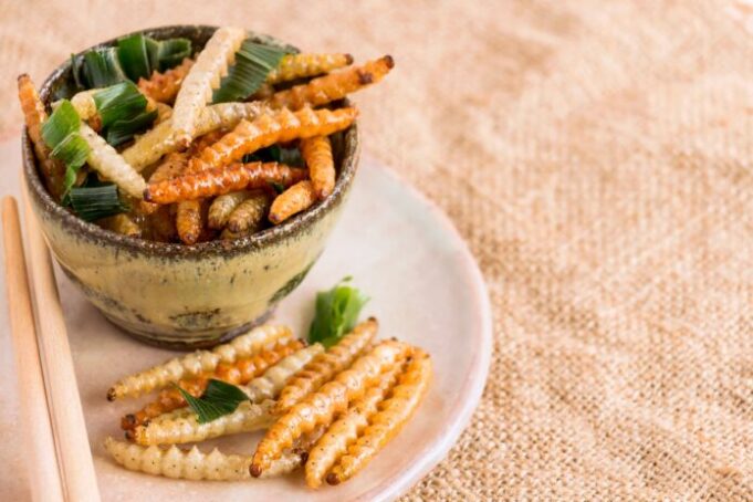 Quelle sera la nourriture de demain ?