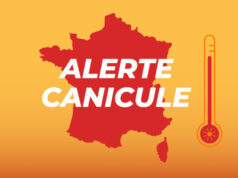 Canicule : à quelles températures s’attendre ?