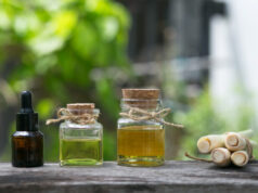 Mes 3 huiles essentielles anti-moustiques