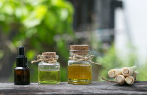 Mes 3 huiles essentielles anti-moustiques