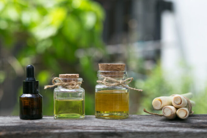 Mes 3 huiles essentielles anti-moustiques