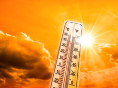 Canicule : les autorités craignent le même scénario qu’en 2003