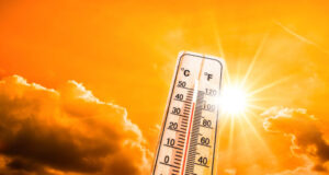 Canicule : les autorités craignent le même scénario qu’en 2003