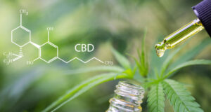 5 choses à savoir sur l’huile de cannabis (CBD)