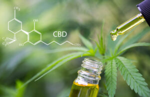 5 choses à savoir sur l’huile de cannabis (CBD)