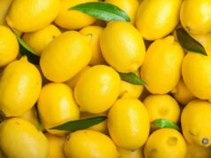 10 vertus insoupçonnées du citron
