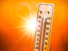 Canicule : l’air saharien s’abat sur la France