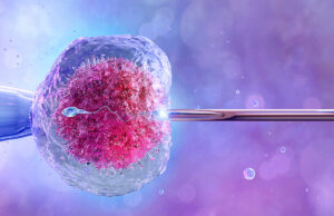 PMA : les hôpitaux n’arrivent pas à faire face à l’afflux de demandes