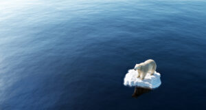 58% des maladies infectieuses sont aggravées par le réchauffement climatique