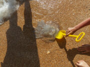 Comment soulager les piqures de méduses ?