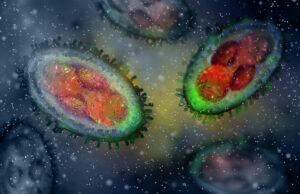 Variole du singe : le virus survit 15 jours sur les surfaces domestiques