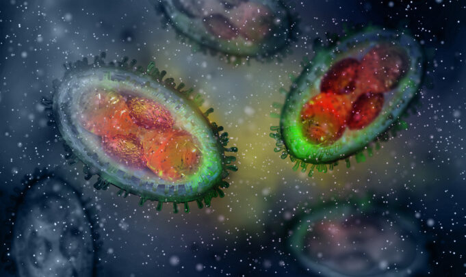 Variole du singe : le virus survit 15 jours sur les surfaces domestiques