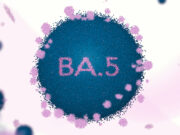 Vacciné et infecté par Omicron : une très bonne protection contre BA.5