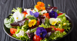 Les bienfaits des fleurs comestibles