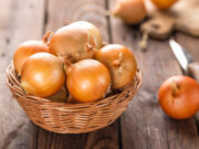 Les miracles de l’oignon