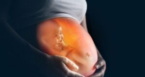 Ce que ressent bébé dans mon ventre