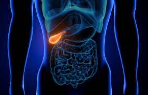 Inflammation de la vésicule biliaire: quels sont les symptômes ?