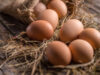 Les bienfaits des œufs