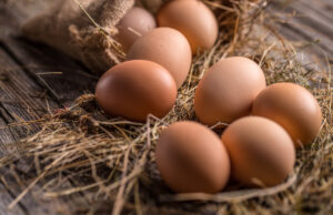 Les bienfaits des œufs