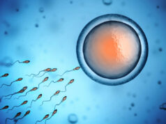 Les spermatozoïdes n’aiment pas l’alcool