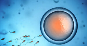 Les spermatozoïdes n’aiment pas l’alcool