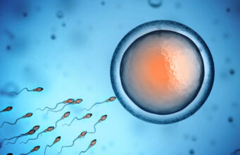 Les spermatozoïdes n’aiment pas l’alcool