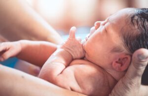 La déclaration de naissance