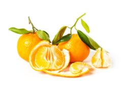 Vitamine D et calcium : efficaces contre les vertiges