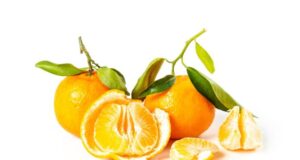 Vitamine D et calcium : efficaces contre les vertiges