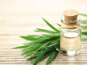 Attention aux huiles essentielles d’arbre à thé, de niaouli et de cajeput